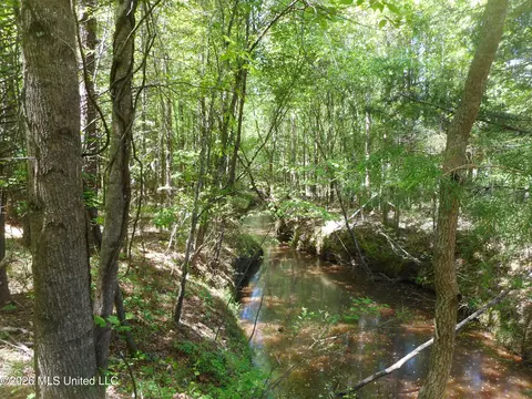 Hwy 25, Lena, MS 39094 photo 4