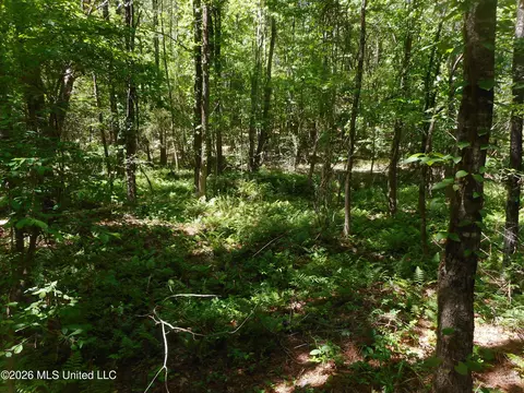 Hwy 25, Lena, MS 39094 photo 6
