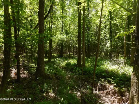 Hwy 25, Lena, MS 39094 photo 27