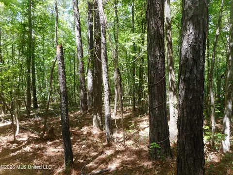 Hwy 25, Lena, MS 39094 photo 11