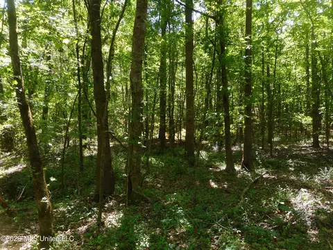 Hwy 25, Lena, MS 39094 photo 3