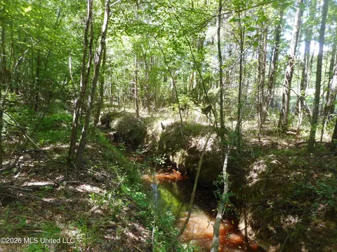 Hwy 25, Lena, MS 39094 photo 13
