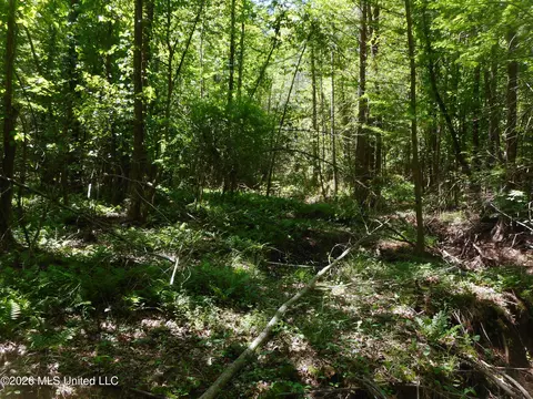 Hwy 25, Lena, MS 39094 photo 26