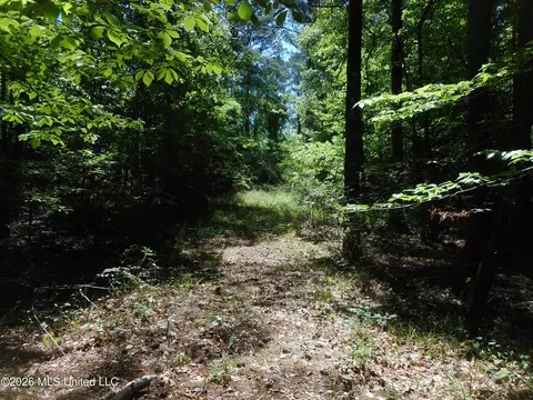 Hwy 25, Lena, MS 39094 photo 21