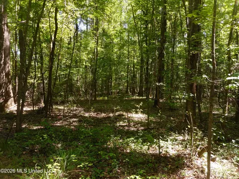 Hwy 25, Lena, MS 39094 photo 12