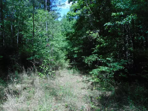 Hwy 25, Lena, MS 39094 photo 23