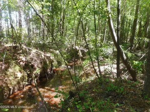 Hwy 25, Lena, MS 39094 photo 16