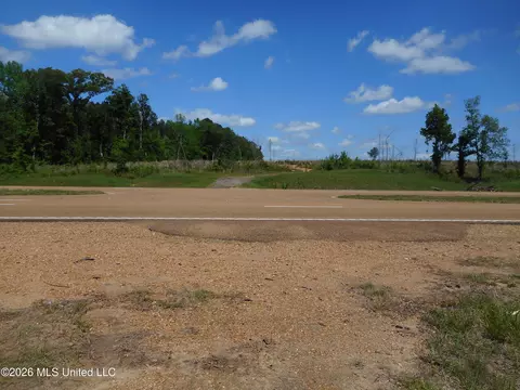 Hwy 25, Lena, MS 39094 photo 10