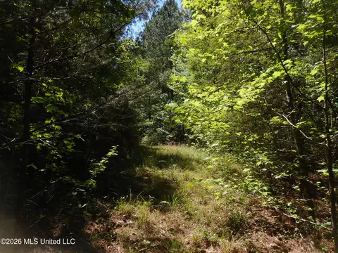 Hwy 25, Lena, MS 39094 photo 25