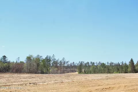 6 01ac Little Cedar Rd, Lucedale, MS 39452 photo 13