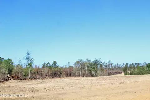 6 01ac Little Cedar Rd, Lucedale, MS 39452 photo 5