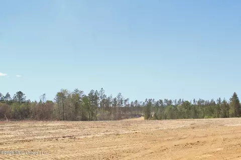 6 01ac Little Cedar Rd, Lucedale, MS 39452 photo 12