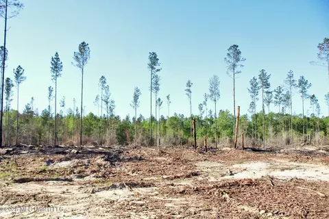 10 34ac Little Cedar Rd, Lucedale, MS 39452