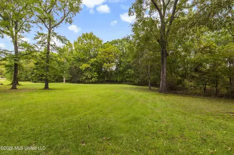 Exterior - 373 Chapel Hill Rd, Flora, MS 39071 photo 5 of 15