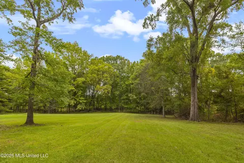 Exterior - 373 Chapel Hill Rd, Flora, MS 39071 photo 6 of 15