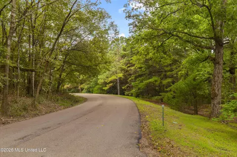 Other - 373 Chapel Hill Rd, Flora, MS 39071 photo 4 of 18