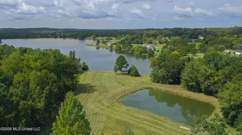 View/Area - 373 Chapel Hill Rd, Flora, MS 39071 photo 4 of 10