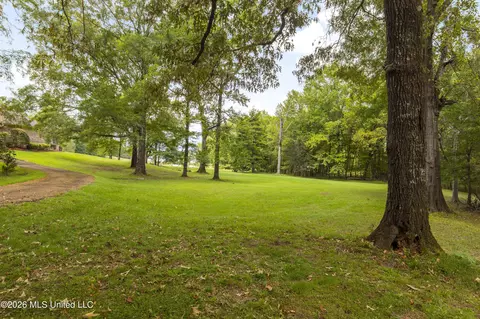 Exterior - 373 Chapel Hill Rd, Flora, MS 39071 photo 4 of 15