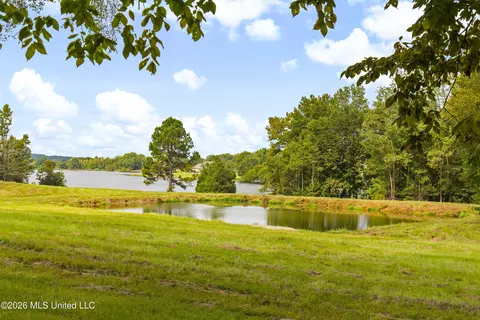 View/Area - 373 Chapel Hill Rd, Flora, MS 39071 photo 3 of 10
