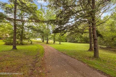 Other - 373 Chapel Hill Rd, Flora, MS 39071 photo 3 of 18