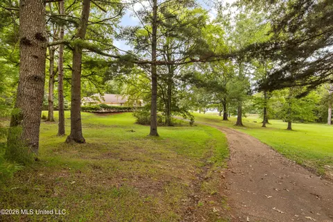 Exterior - 373 Chapel Hill Rd, Flora, MS 39071 photo 10 of 15