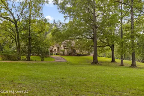 Exterior - 373 Chapel Hill Rd, Flora, MS 39071 photo 9 of 15