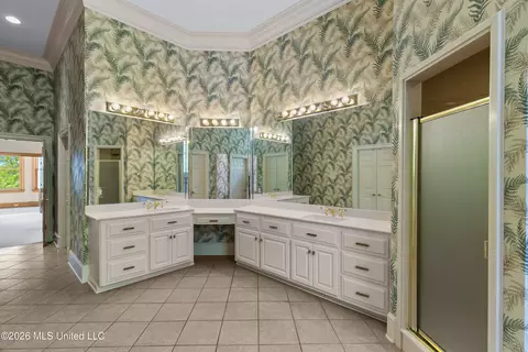 Bath - 373 Chapel Hill Rd, Flora, MS 39071 photo 2 of 5