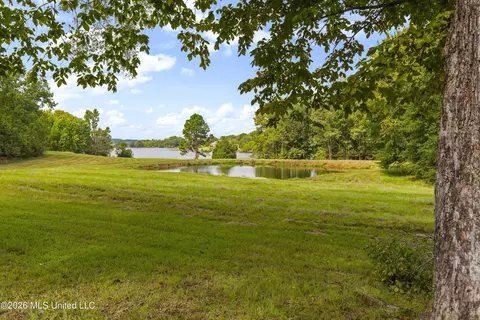 View/Area - 373 Chapel Hill Rd, Flora, MS 39071 photo 2 of 10