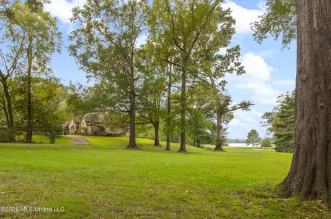 Exterior - 373 Chapel Hill Rd, Flora, MS 39071 photo 8 of 15
