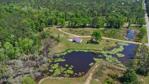 View/Area - 113 Clyde Pipkins Rd, Lucedale, MS 39452 photo 1 of 1