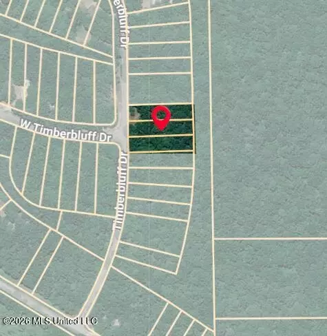 Timber Bluff Drive, Lumberton, MS 39455