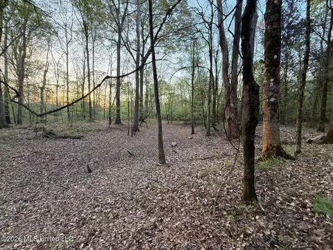 Owen Boone Road, Puckett, MS 39042