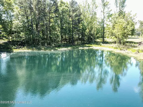 Us-80, Brandon, MS 39042 photo 14