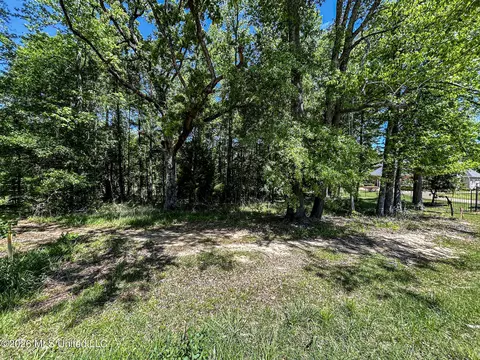 Us-80, Brandon, MS 39042 photo 4