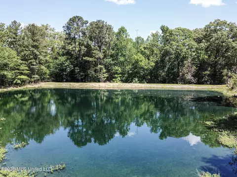 Us-80, Brandon, MS 39042 photo 11