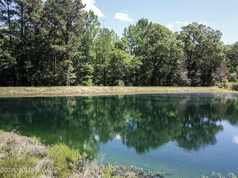 Us-80, Brandon, MS 39042 photo 13