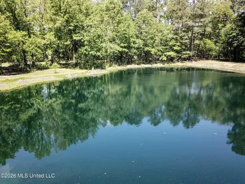Us-80, Brandon, MS 39042 photo 12