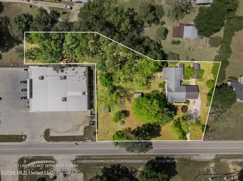 View/Area - 294 Saint Peter St, State Line, MS 39362 photo 1 of 4