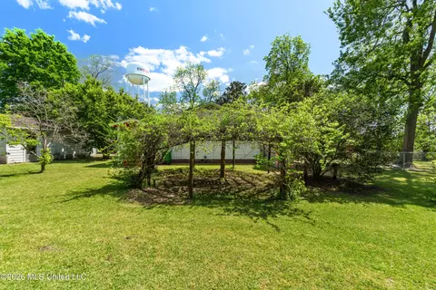 Exterior - 294 Saint Peter St, State Line, MS 39362 photo 9 of 15