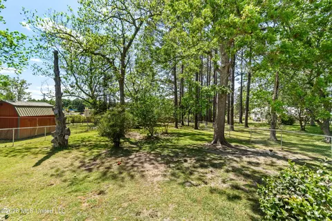 Exterior - 294 Saint Peter St, State Line, MS 39362 photo 14 of 15