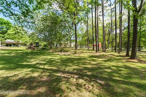 Exterior - 294 Saint Peter St, State Line, MS 39362 photo 11 of 15
