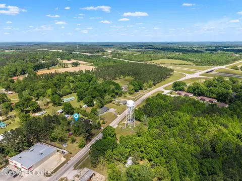 View/Area - 294 Saint Peter St, State Line, MS 39362 photo 3 of 4