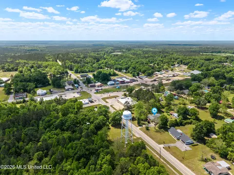 View/Area - 294 Saint Peter St, State Line, MS 39362 photo 2 of 4