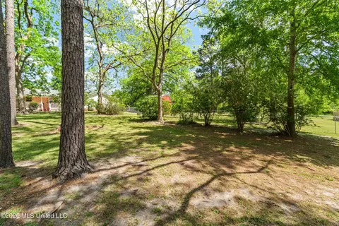 Exterior - 294 Saint Peter St, State Line, MS 39362 photo 10 of 15
