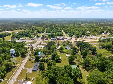 View/Area - 294 Saint Peter St, State Line, MS 39362 photo 4 of 4