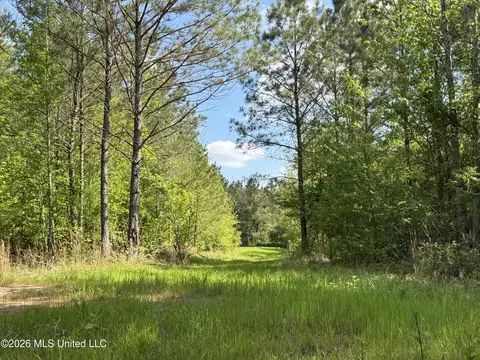 1479 Truesdale Rd, Carthage, MS 39051