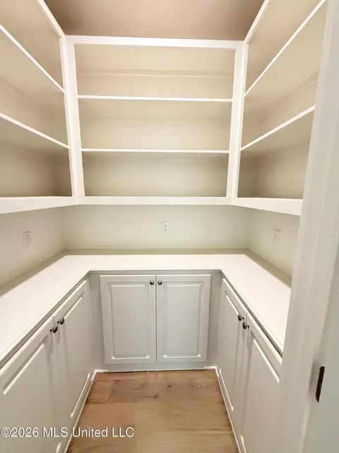 Other - 384 Wellstone Pl, Madison, MS 39110 photo 6 of 11
