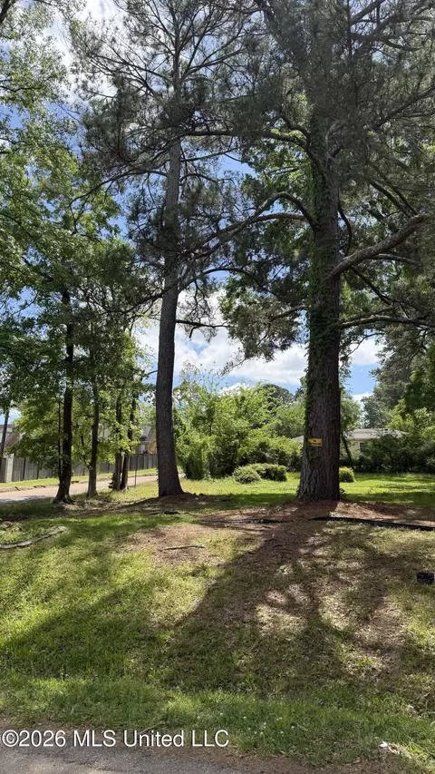 791 Cedarhurst Rd, Jackson, MS 39206 photo 2