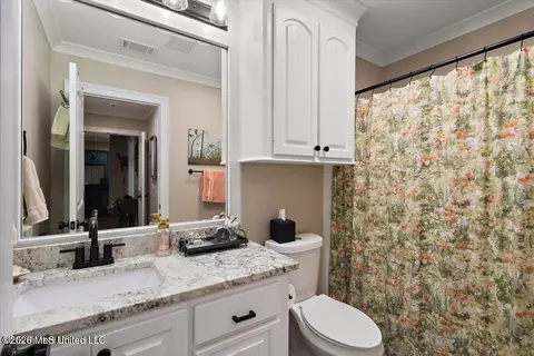 Bath - 902 Timberton Dr, Pearl, MS 39208 photo 3 of 3
