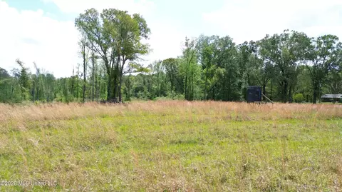 0 Stevens Rd, Yazoo City, MS 39194